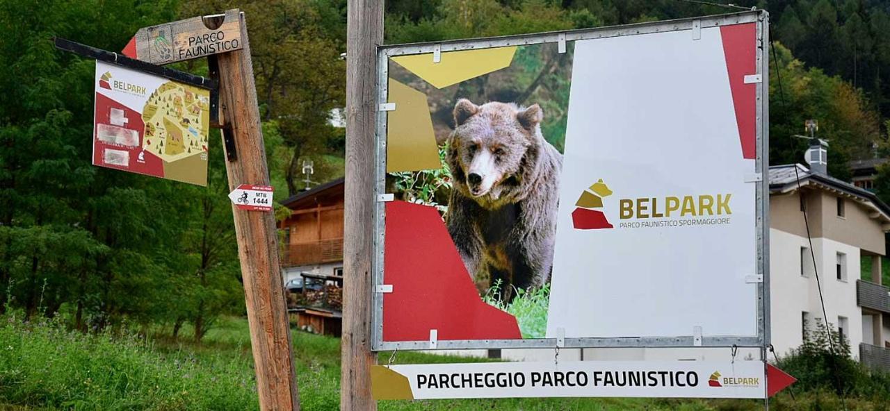 Casa Ponte Lambin Appartamento Andalo Esterno foto